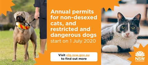 Annual Permits - Non-desexed cats and dangerous dogs.jpg