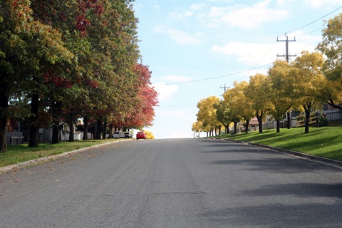 Mundy Street - Autumn.JPG