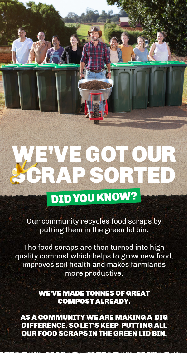 web Scrap Sorted cropped.png